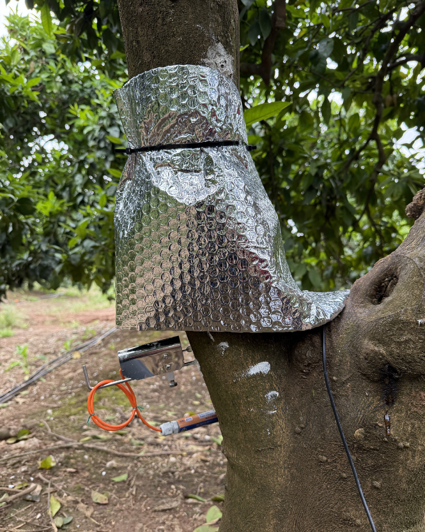 1751973214-proyecto-reducit-2 Greenbot robot