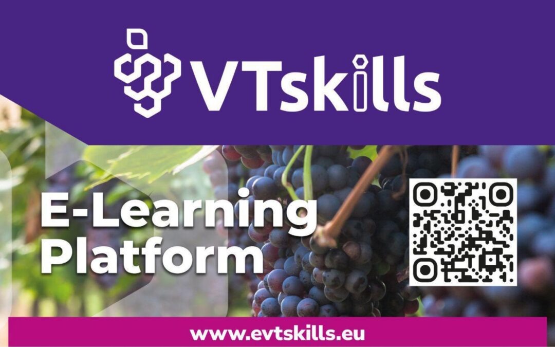 Viticulture 4.0: Innovation and Sustainability with the VTSkills Project