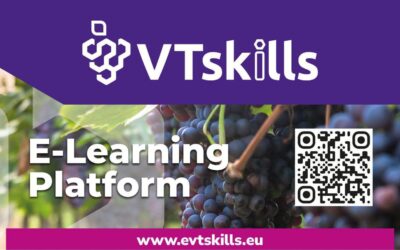 Viticulture 4.0: Innovation and Sustainability with the VTSkills Project